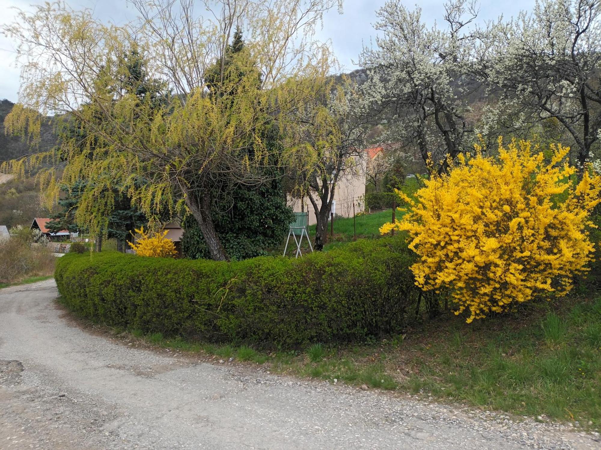 Villa Evetes Jablonov nad Turnou Exteriér fotografie